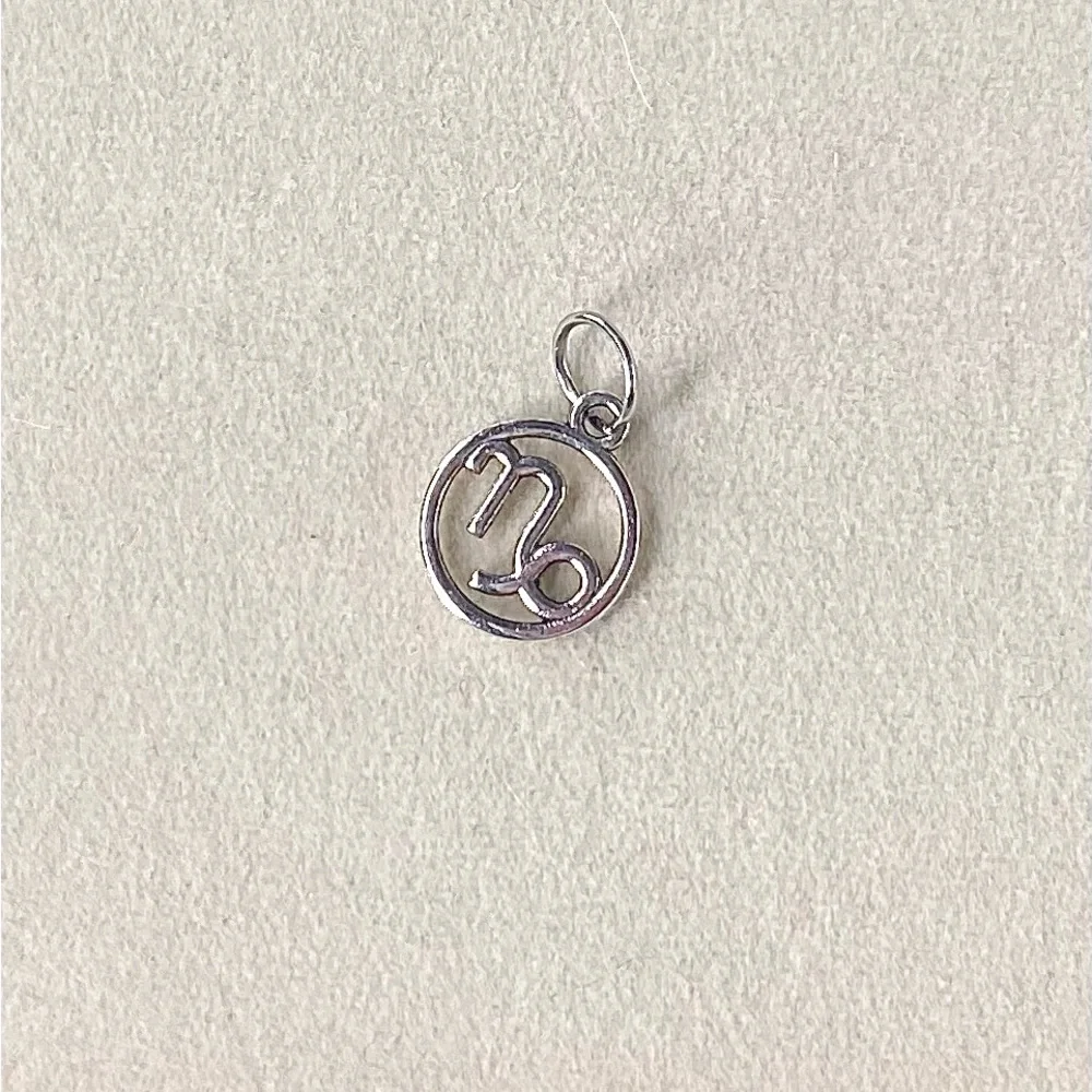 Silver Capricorn Zodiac Charm